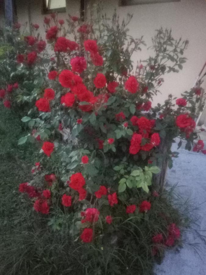 Il Mulino Di Geminella Apartment Narzole Bagian luar foto