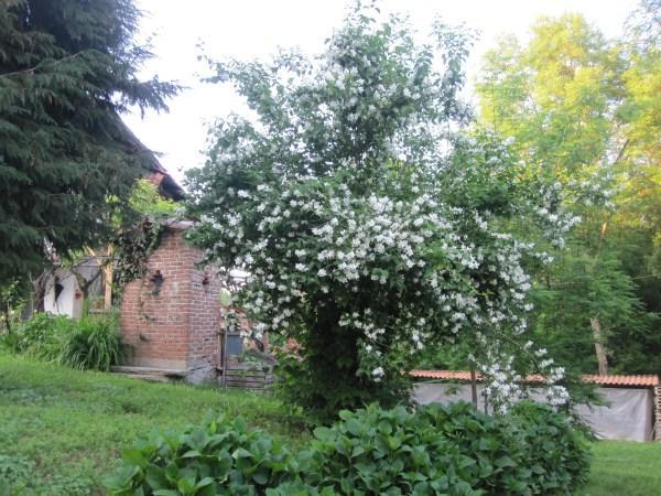 Il Mulino Di Geminella Apartment Narzole Bagian luar foto