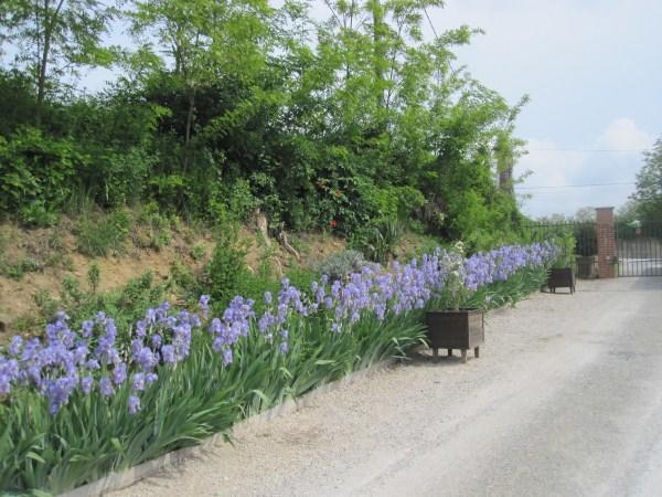 Il Mulino Di Geminella Apartment Narzole Bagian luar foto