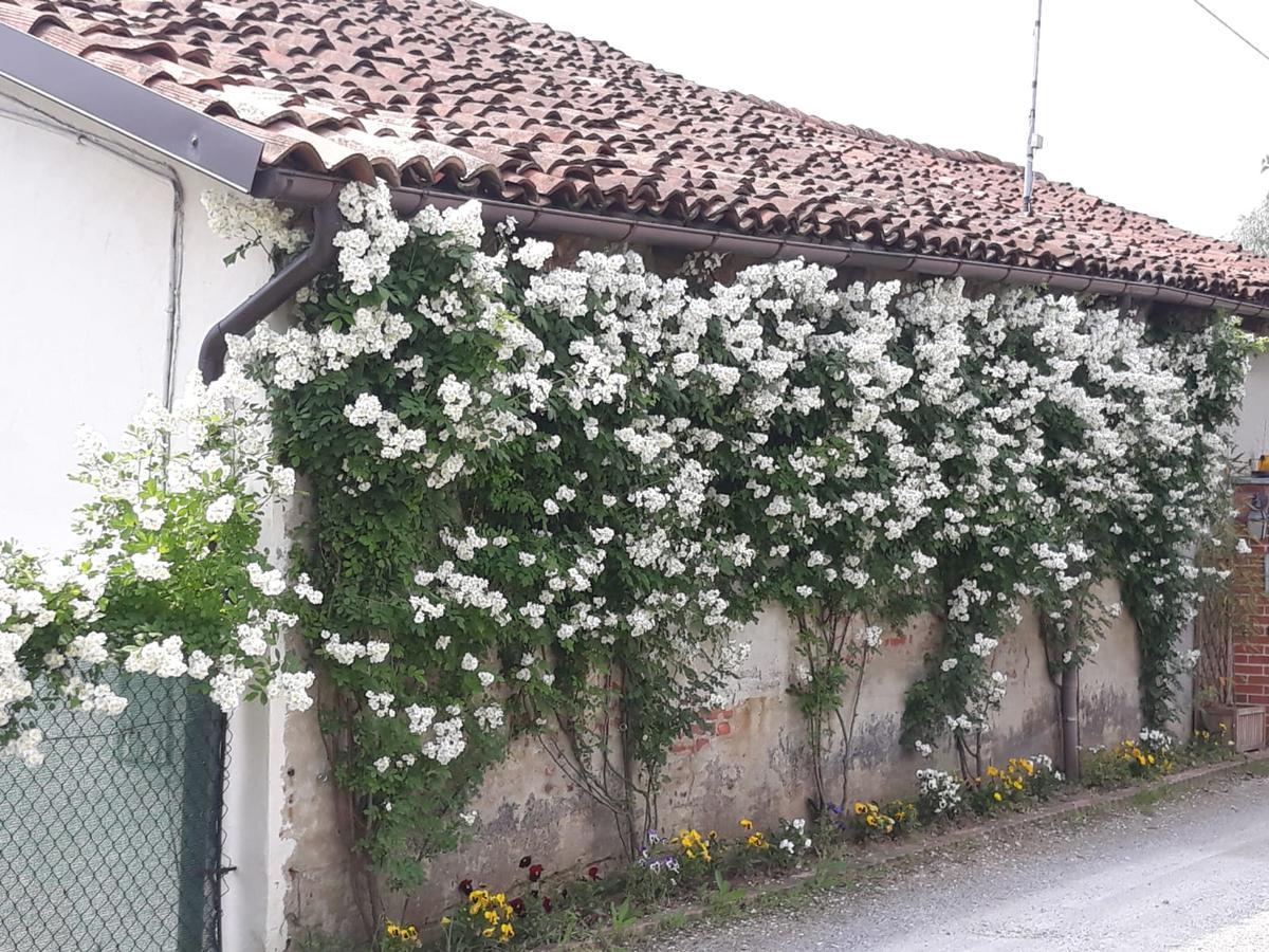 Il Mulino Di Geminella Apartment Narzole Bagian luar foto
